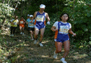 금수산 산악마라톤대회 개최(숲속달리기) ·2006년 제천시와 국민의 숲 협약을 체결하고, 국유림 이용기회를 높이는 계기를 마련했다.