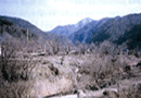 1997. 대면적 사유림(1,003㏊) 매수 충남 서산 용현리 일대, 후에 용현자연휴양림 조성