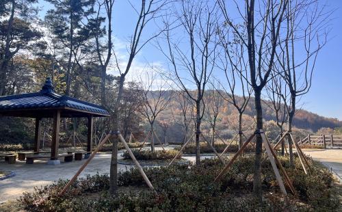 바람에 스치는 나뭇가지, 숲에서 쉬어가는 하루