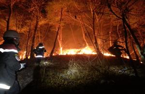 중부지방산림청, 가을철 산불방지 총력 대응