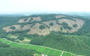 중부지방산림청, 친환경벌채 경진대회 ‘최우수상’ 수상