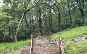 보은국유림관리소, 365 국민평가멘토단과 월오숲길 합동 점검