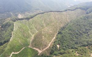 중부지방산림청, 탄소중립을 위한 봄철 나무심기 착수