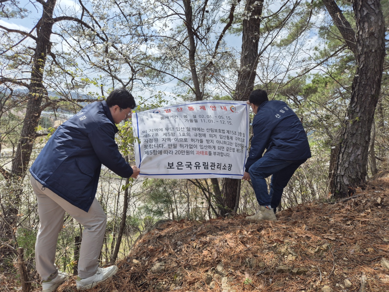 보은국유림관리소, 산에 나는 나물은 전부 내 거? 이미지2